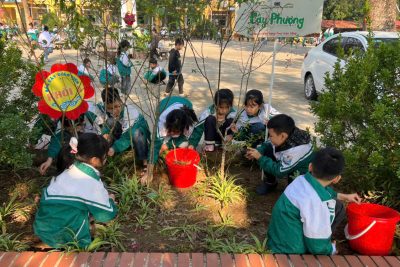TRƯỜNG TIỂU HỌC NHÂN KHANG HƯỞNG ỨNG ĐỢT CAO ĐIỂM CHUNG TAY XÂY DỰNG MÔI TRƯỜNG “SÁNG – XANH – SẠCH – ĐẸP” ĐÓN TẾT NGUYÊN ĐÁN 2026